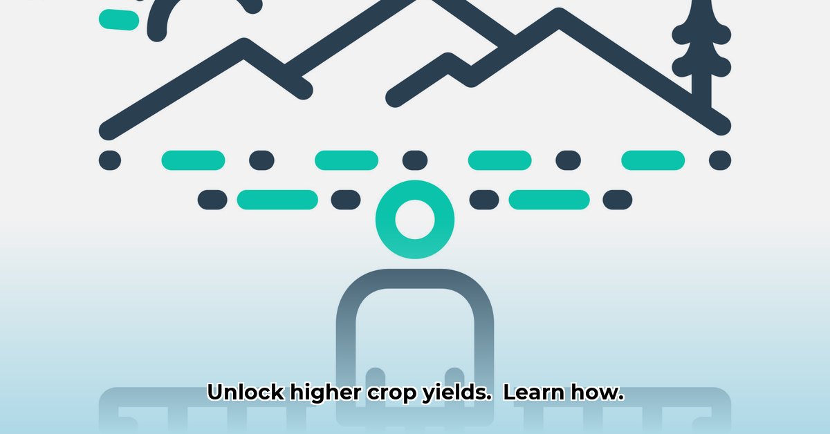 overlook-pro-descargar-gratis